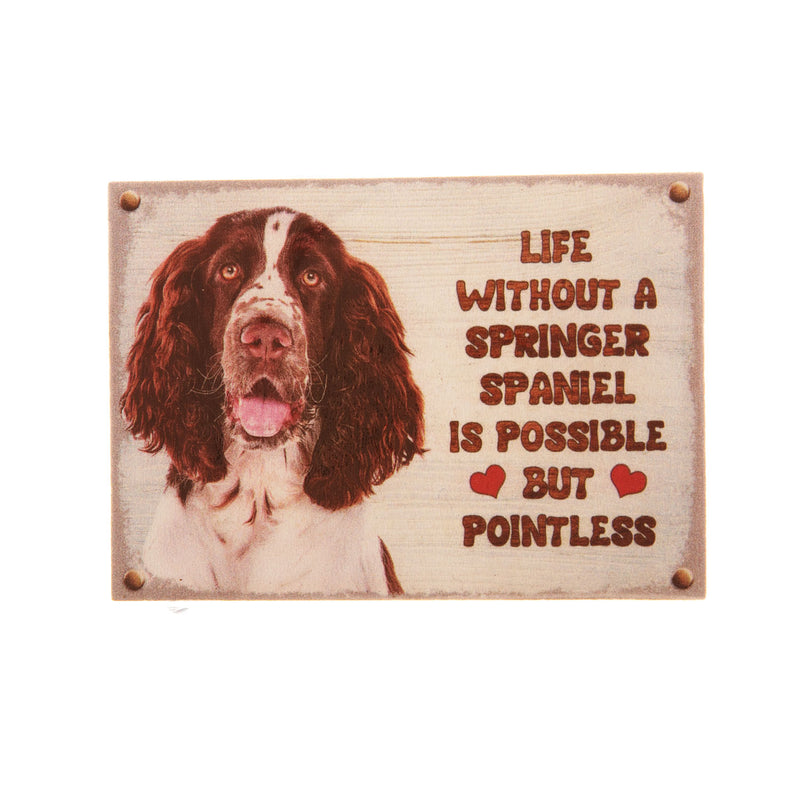 Pet Fridge Magnet Small Springer Spaniel